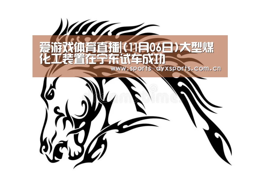 爱游戏体育直播|(11月06日)大型煤化工装置在宁东试车成功(图3) 爱游戏平台